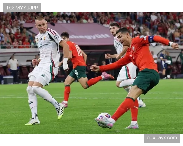 匈牙利队热身赛表现抢眼,延续不败佳绩 匈牙利队热身赛表现抢眼,延续不败佳绩